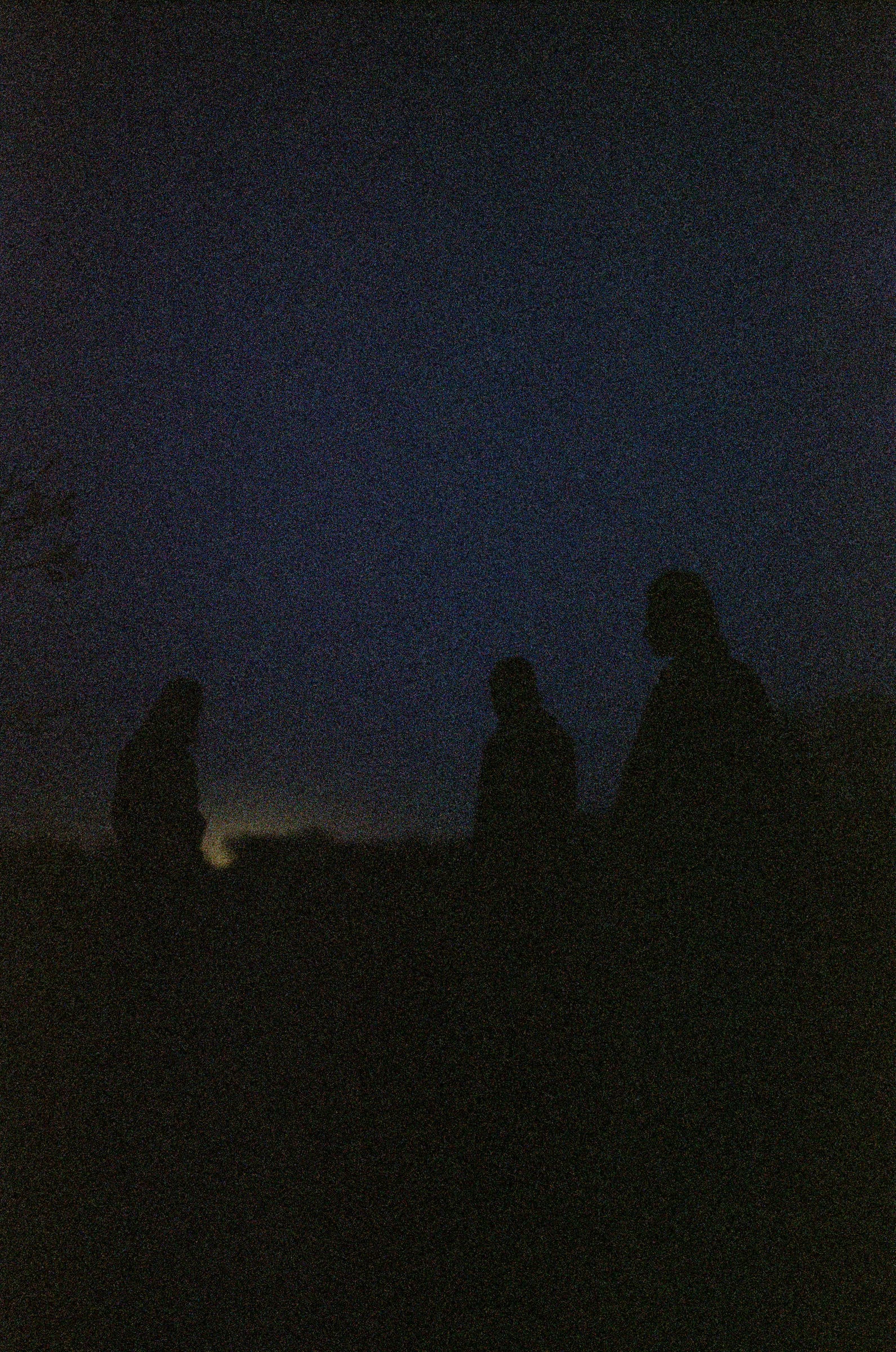 Three figures standing in a field in the last light