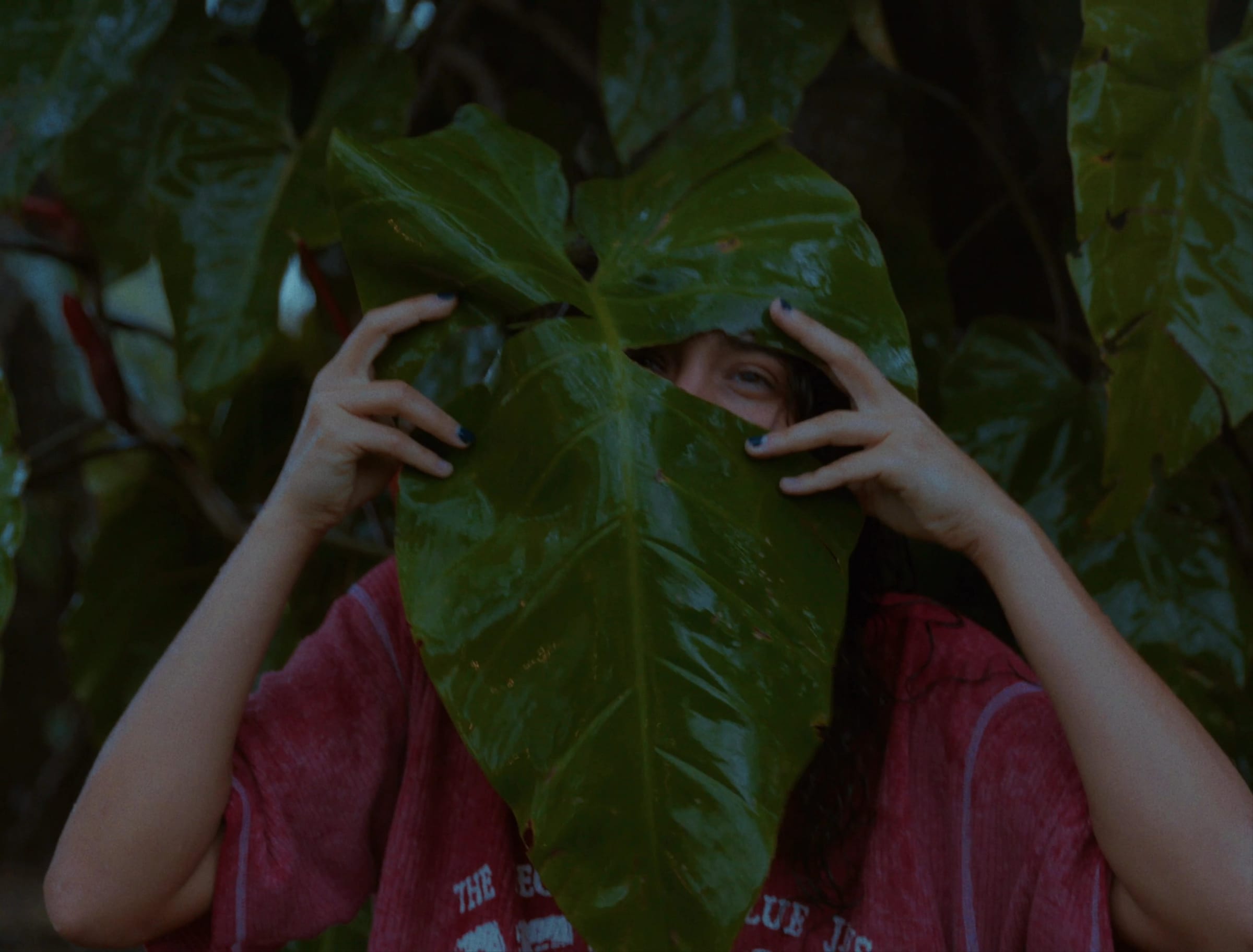 A woman holding a large wet leaf over her face, one eye showing