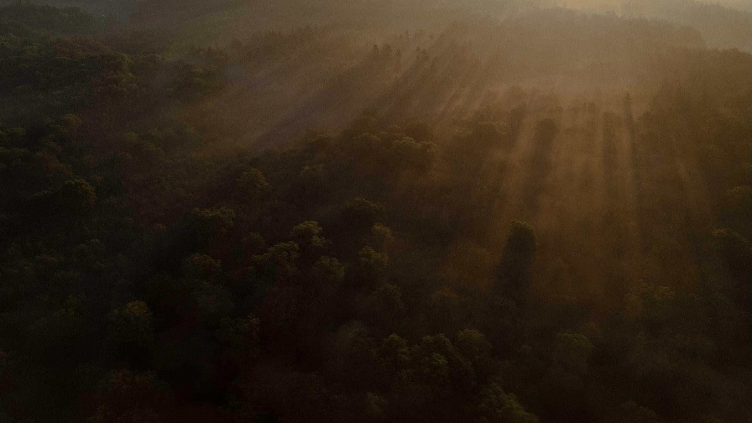Photograph by Louie Jacob